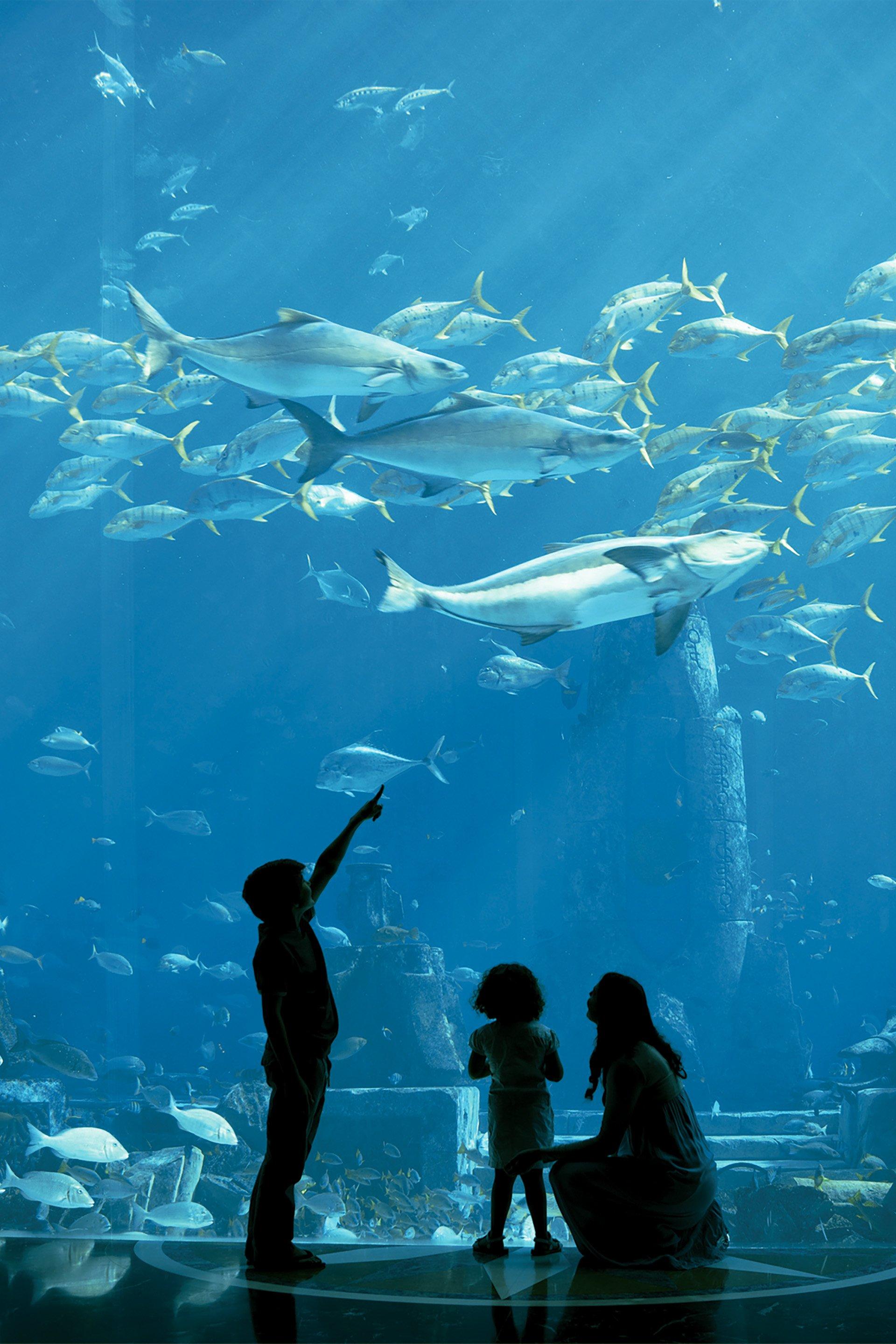 Family at Atlantis Dubai
